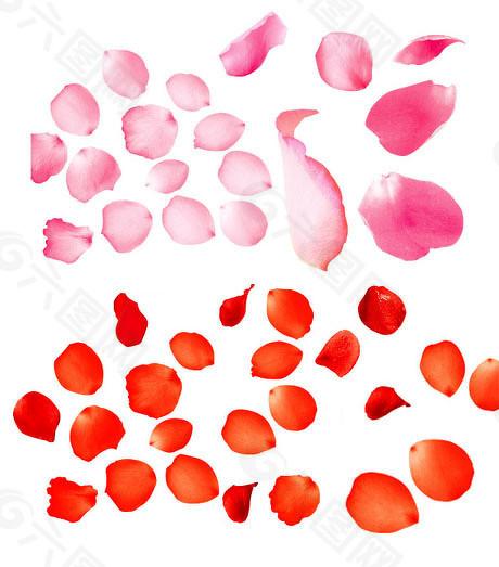 热丰网 中芯国际A股定价27.46元，开启半导体产业价值重估大门