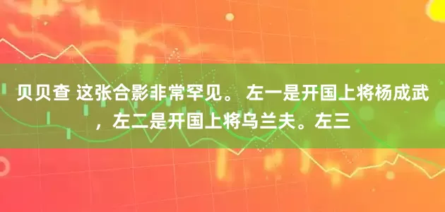 贝贝查 这张合影非常罕见。 左一是开国上将杨成武，左二是开国上将乌兰夫。左三